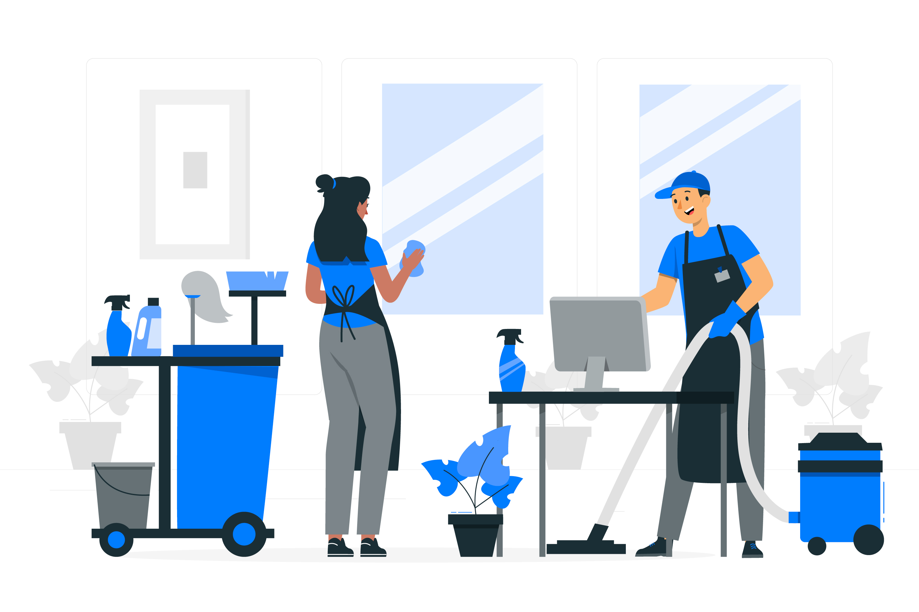 Professional cleaning service illustration